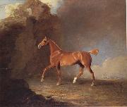 A Golden Chestnut Racehorse by a Rock Formation With a Town Beyond
